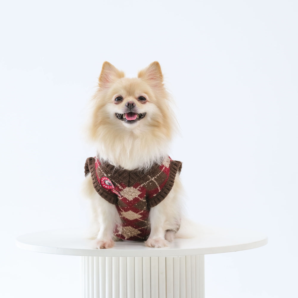 Noir Sur Blanc Pet x Poppy Paddy Gingerbread Vest