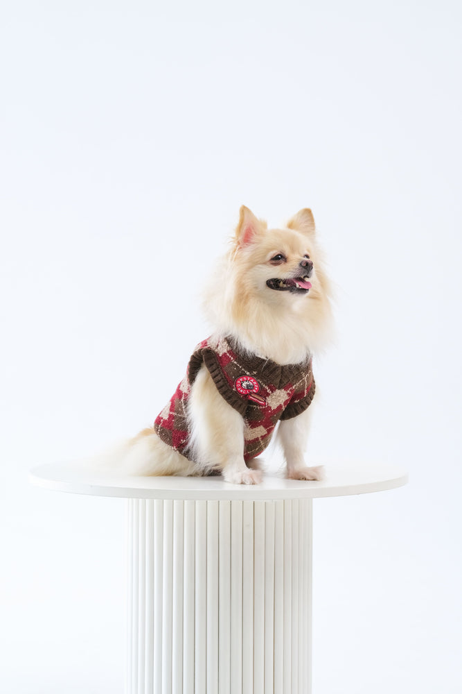 Noir Sur Blanc Pet x Poppy Paddy Gingerbread Vest