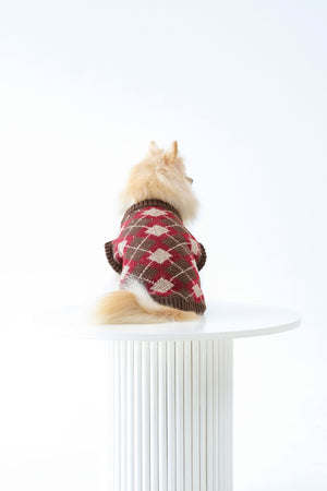 Noir Sur Blanc Pet x Poppy Paddy Gingerbread Vest