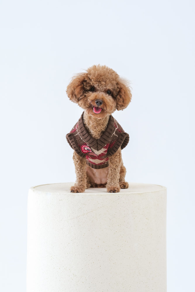 Noir Sur Blanc Pet x Poppy Paddy Gingerbread Vest