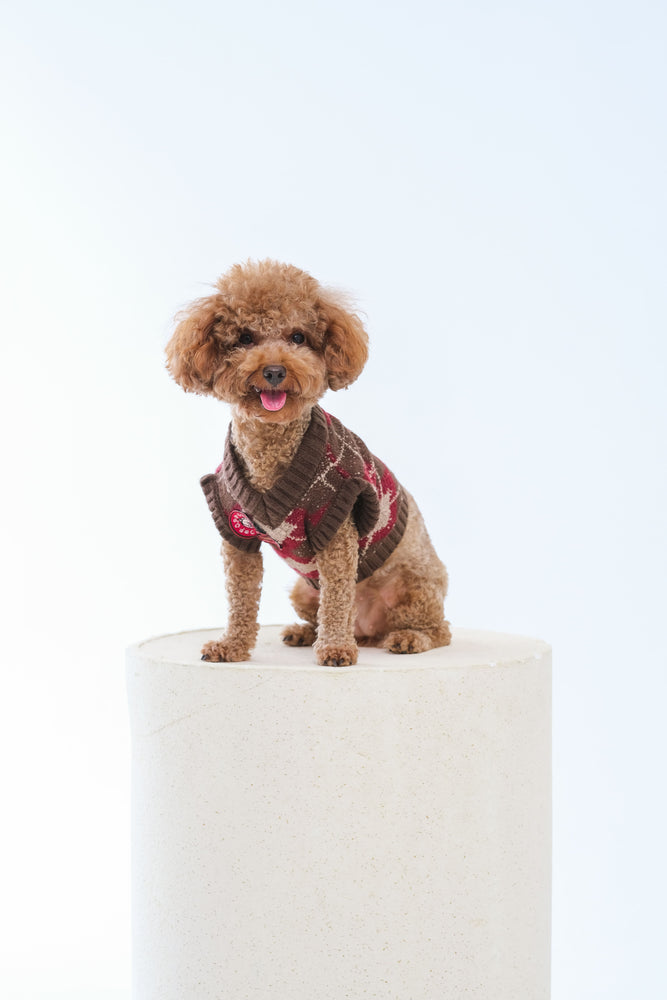 Noir Sur Blanc Pet x Poppy Paddy Gingerbread Vest