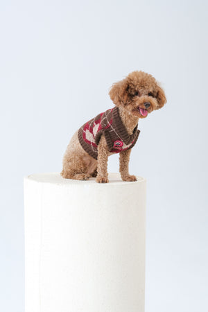 Noir Sur Blanc Pet x Poppy Paddy Gingerbread Vest